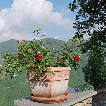 Elsa House Bed & Breakfast Mezzanego