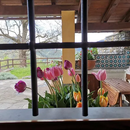 Elsa House Oda ve Kahvaltı *