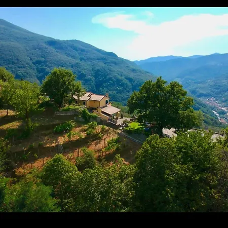 Bed & Breakfast Elsa House *