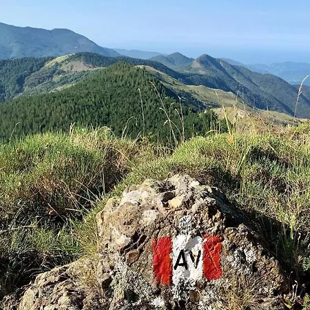 Elsa House Bed & Breakfast