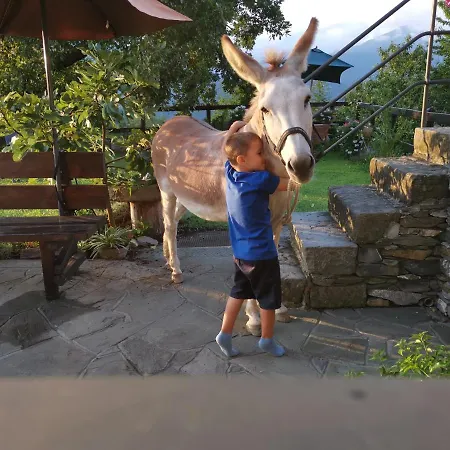 Elsa House Bed & Breakfast Mezzanego