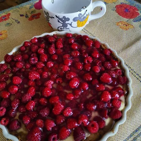 Elsa House Mezzanego