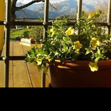 Elsa House Mezzanego