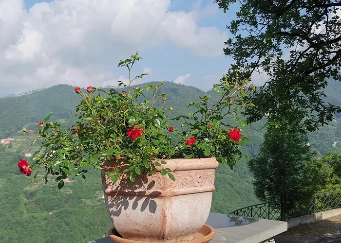 Elsa House B&B Mezzanego