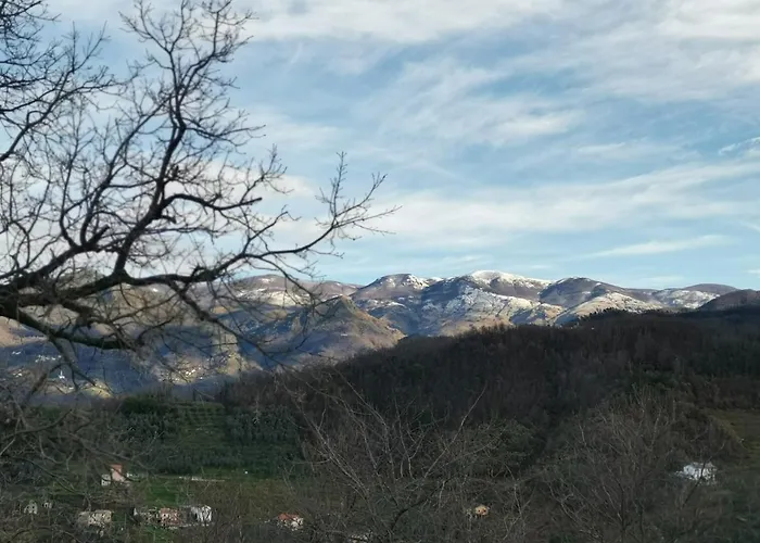 Elsa House