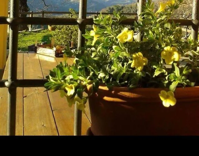 Elsa House Mezzanego